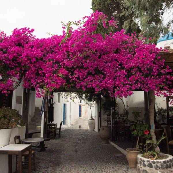 Villa Orpheus Santorini Μεγαλοχώρι Εξωτερικό φωτογραφία
